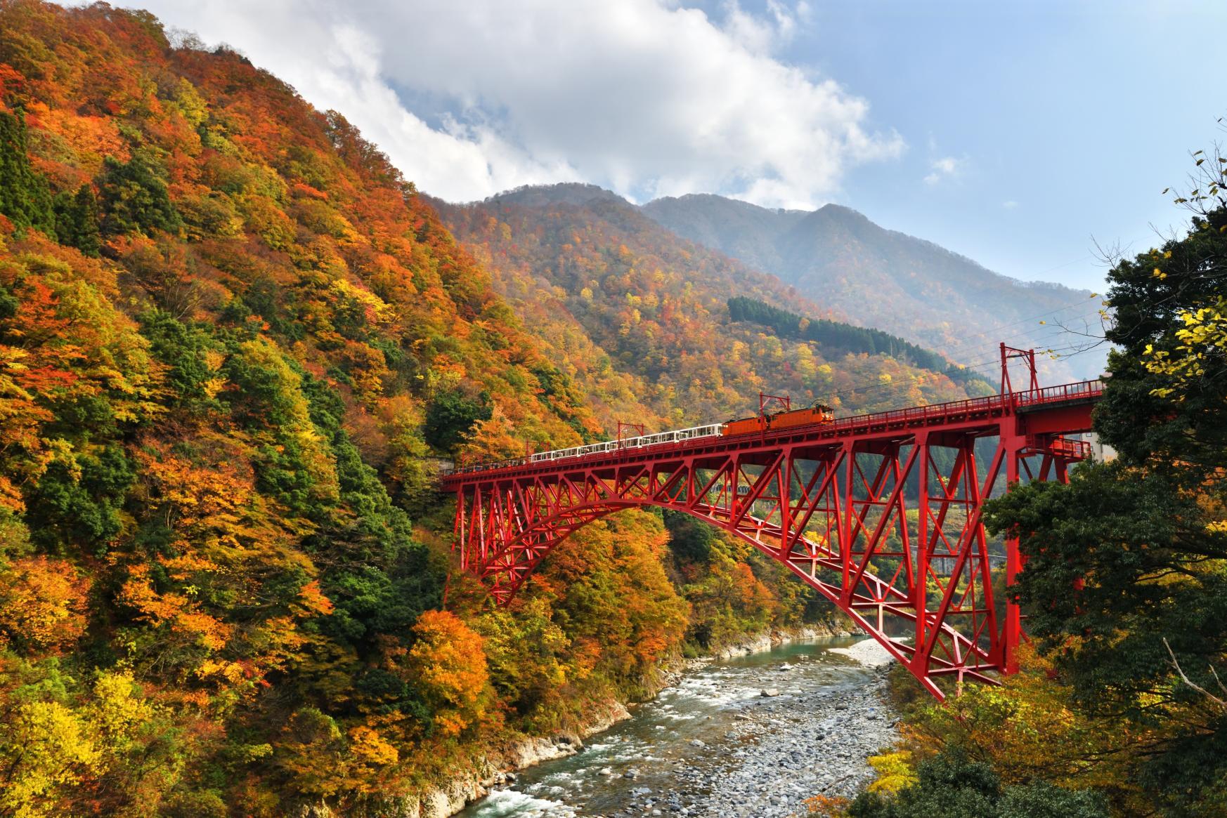 Discover Toyama