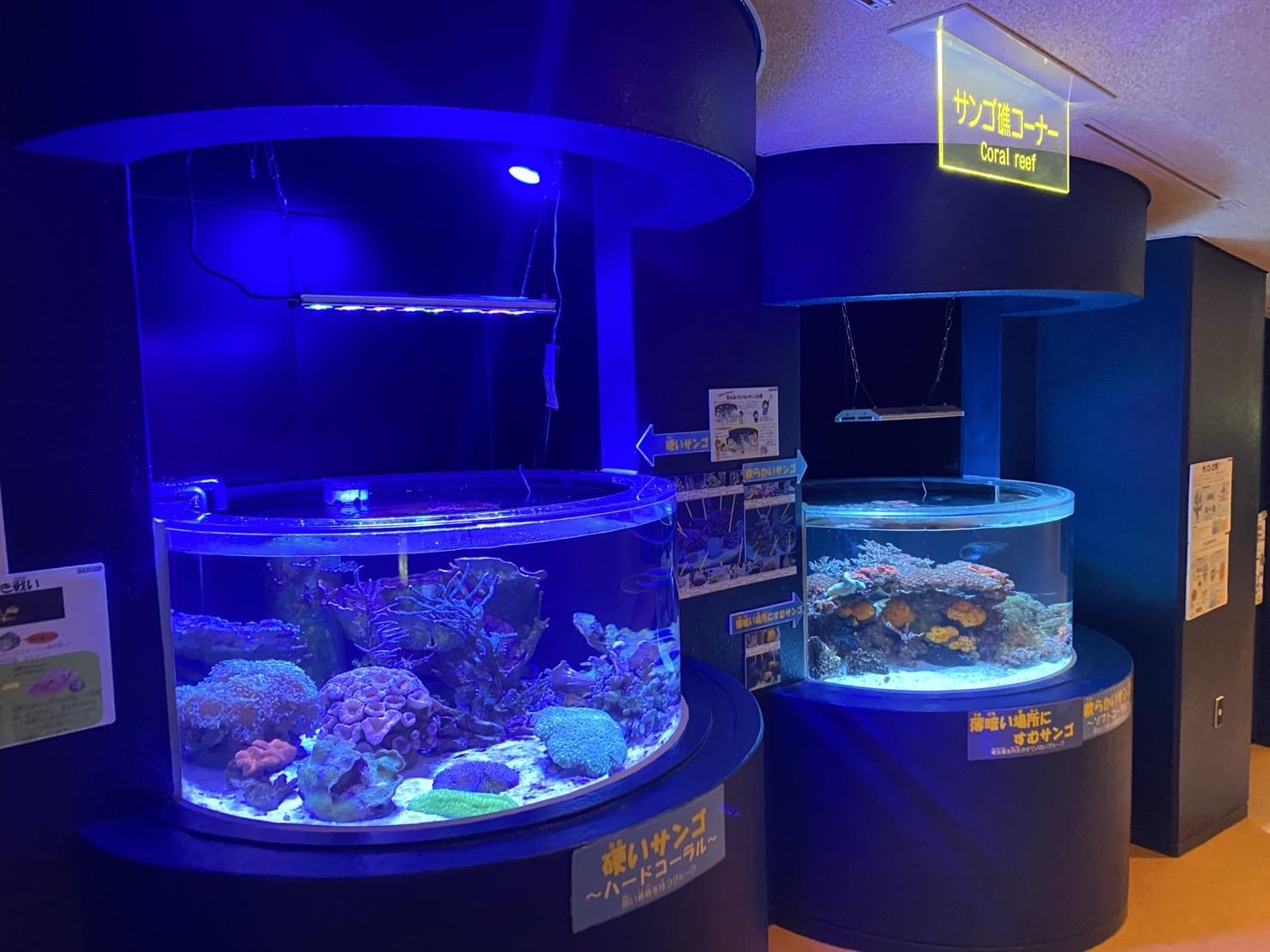 「魚ケーション」で特別な時間を-0