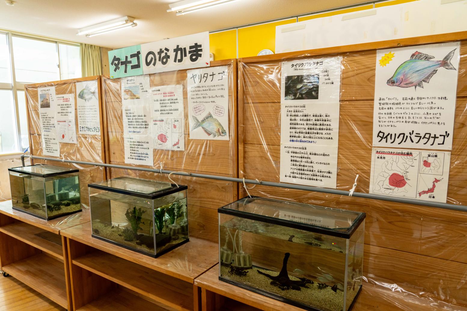 展示されている生き物たち-0