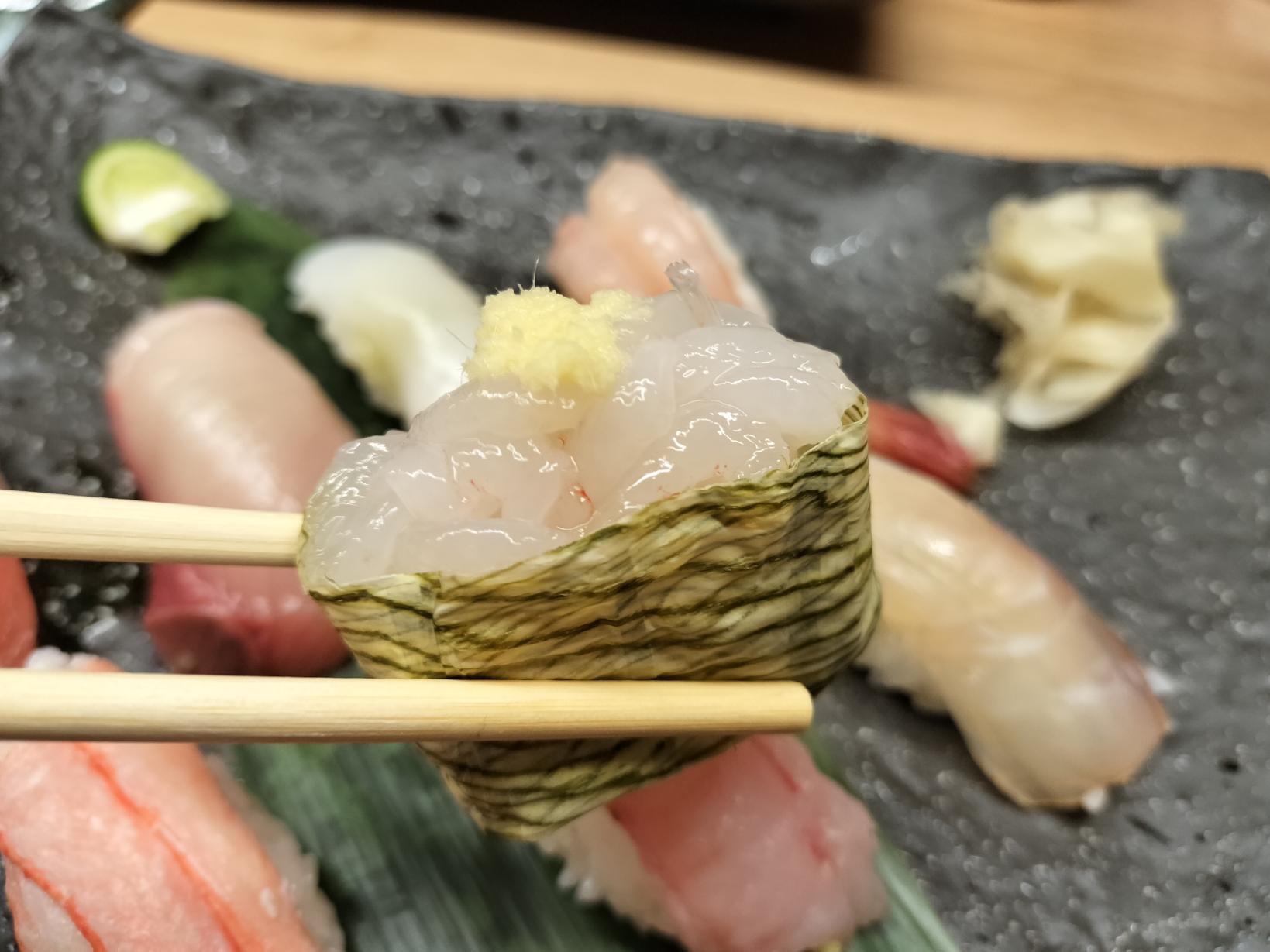 富山湾の宝石「白エビ」