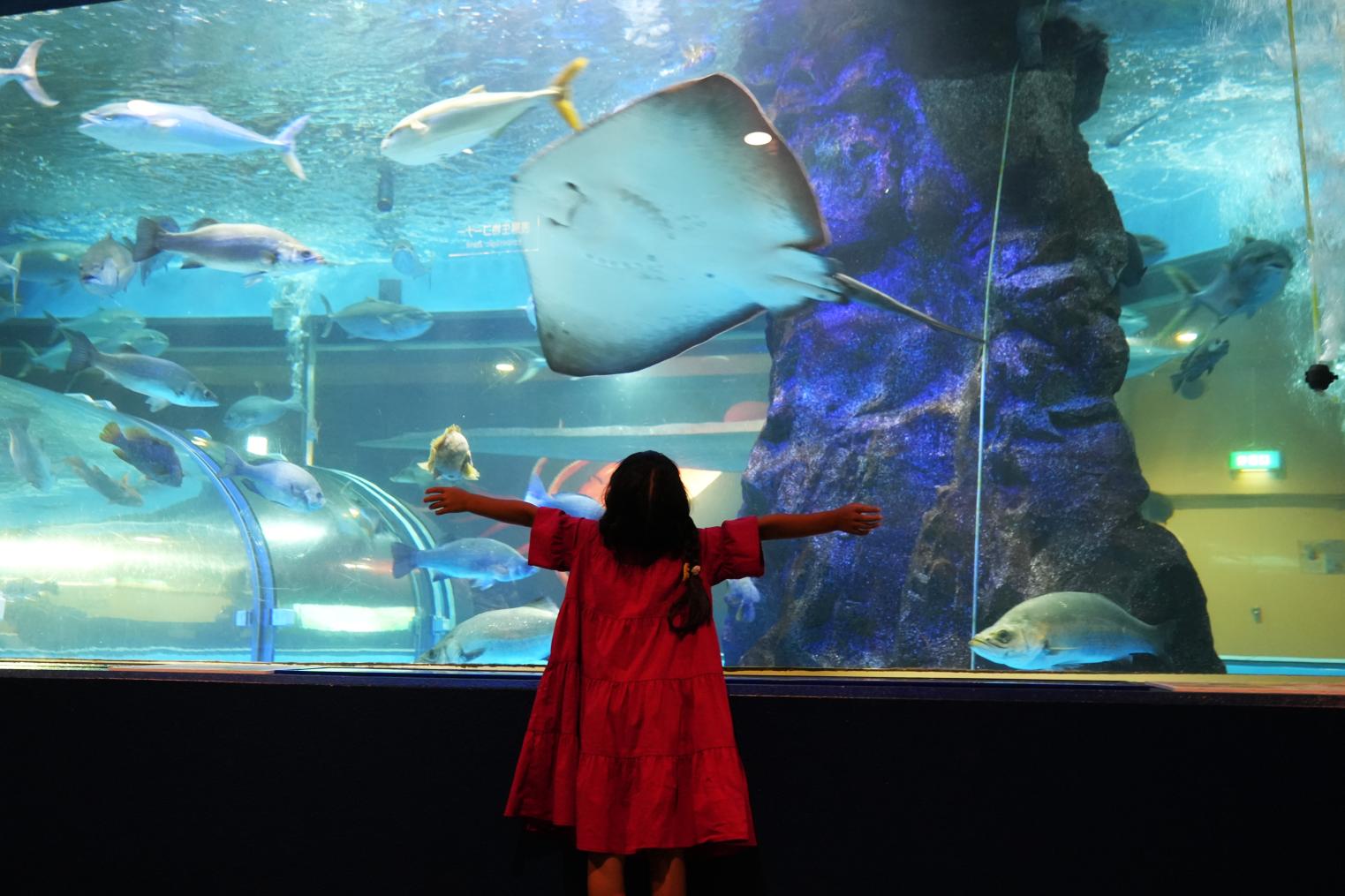 日本最古の水族館「魚津水族館」& ユニークなお土産屋「真珠コーナー」に行ってみた！
