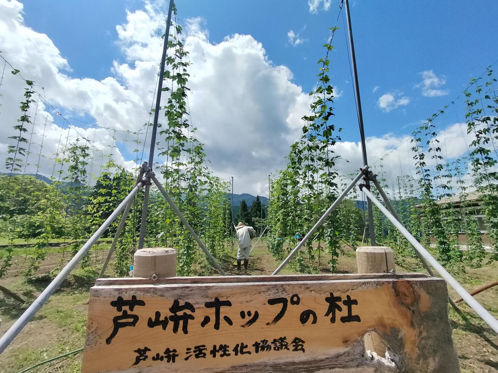 立山町グルメ3選！地産の素材を活かしたとびきりグルメ-1