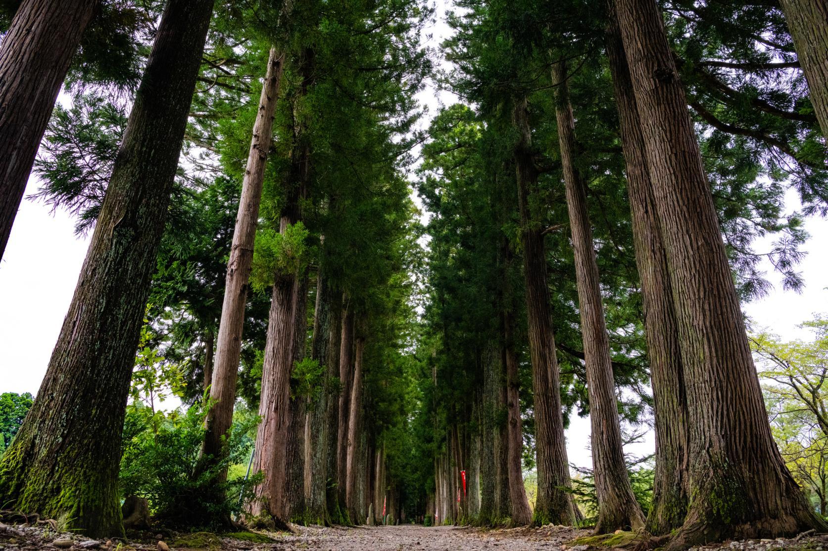 眼目山立山寺(がんもくざんりゅうせんじ)
