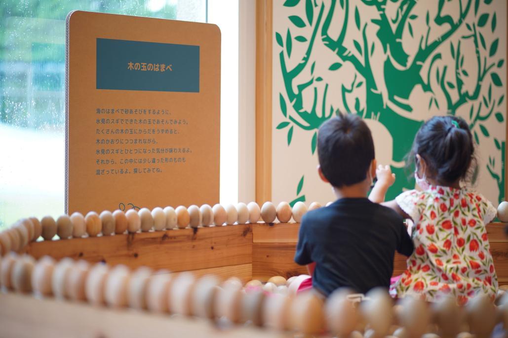 Wooden Toy Playspace-2
