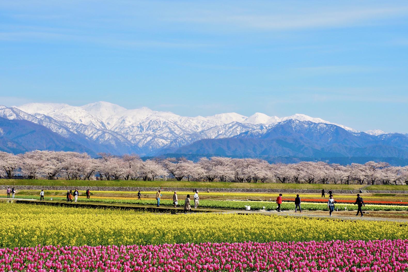 Spring (Apr–Jun)-0