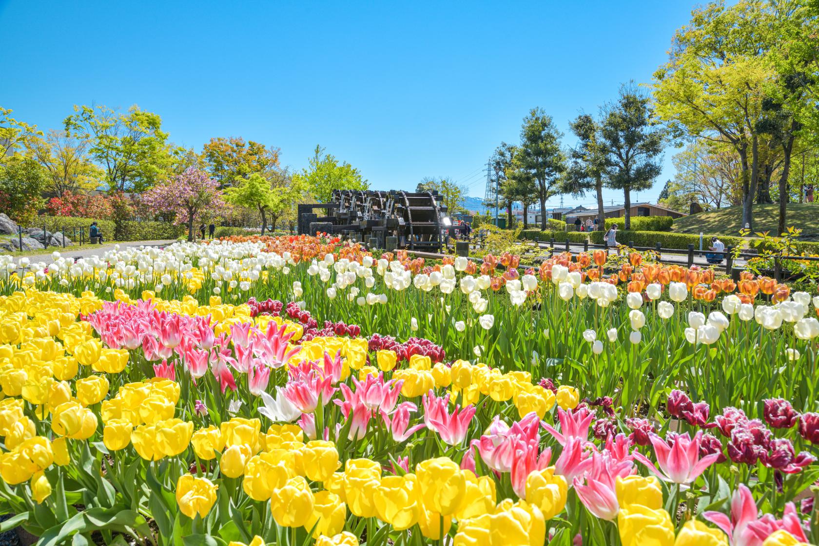 Spring (Apr–Jun)-1