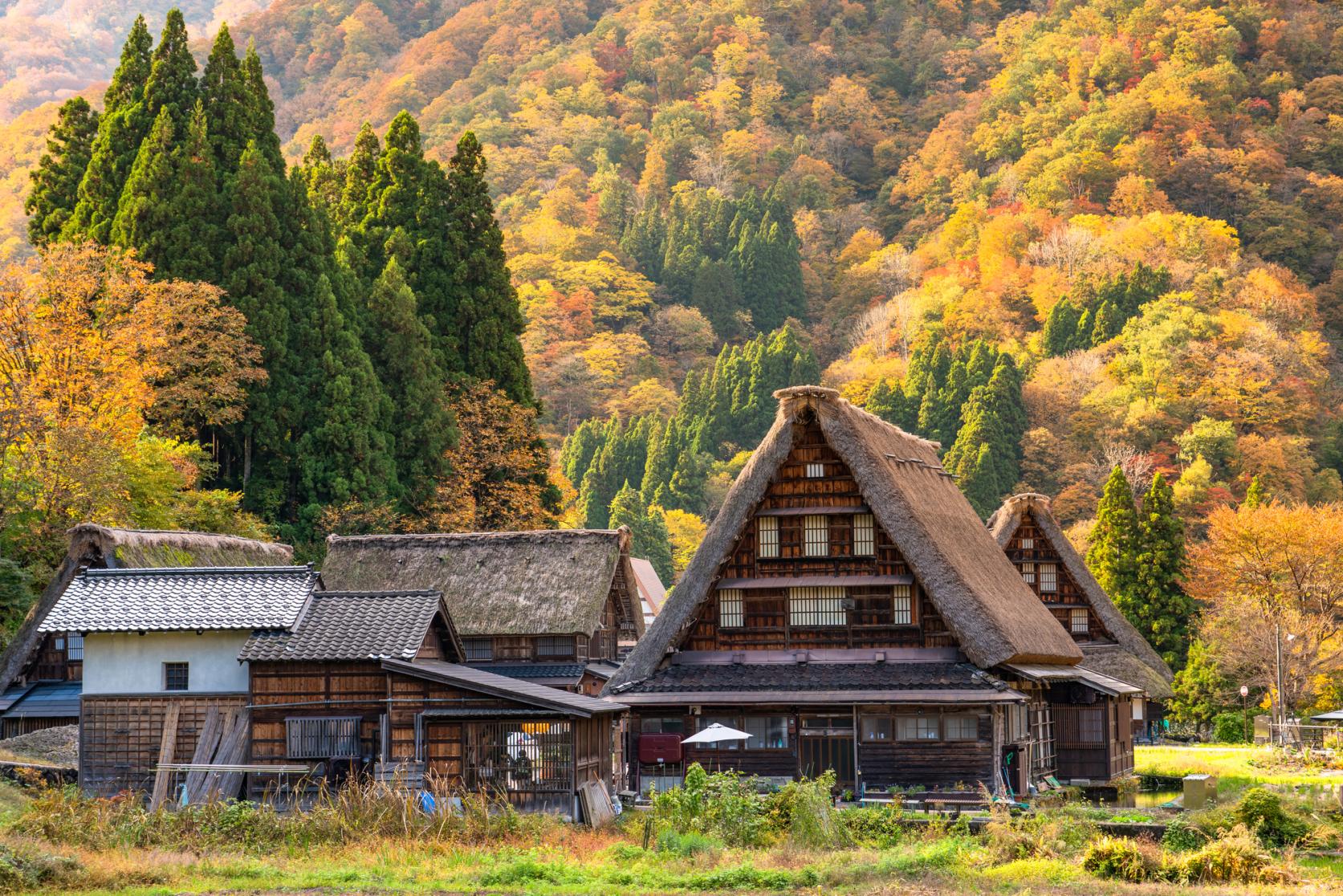 Autumn (Oct–Nov)-0