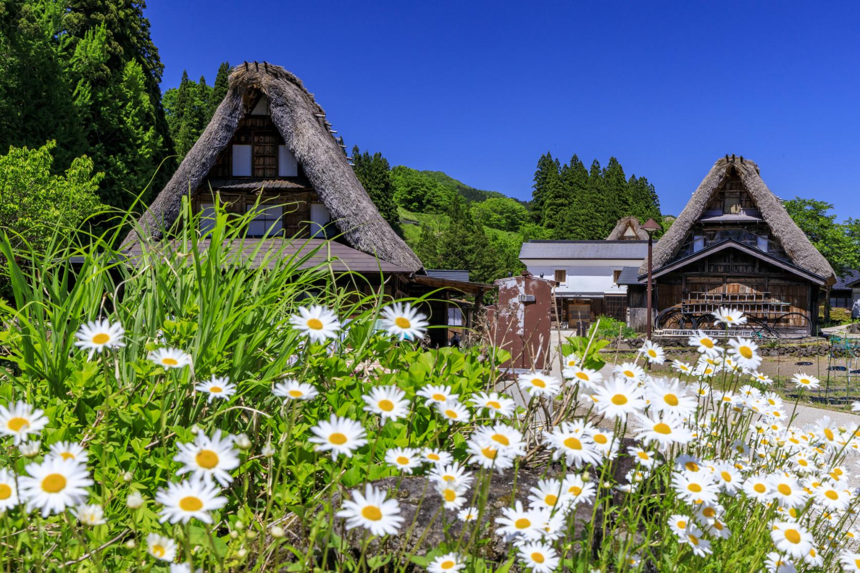 五箇山を守ろう！観光のマナー-0