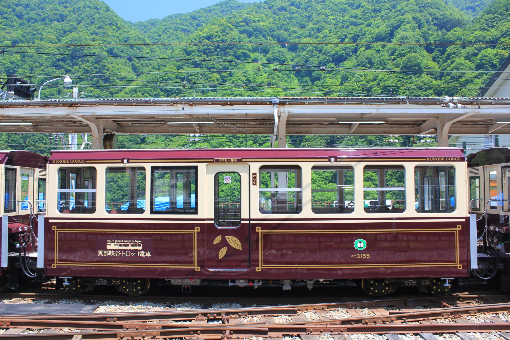 大自然を走るトロッコ電車-2