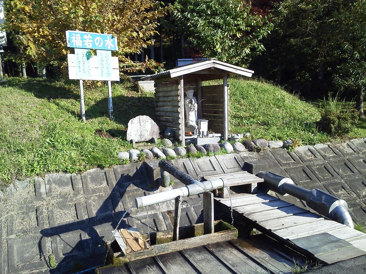 立山自然ふれあい館（昆虫王国立山）-1