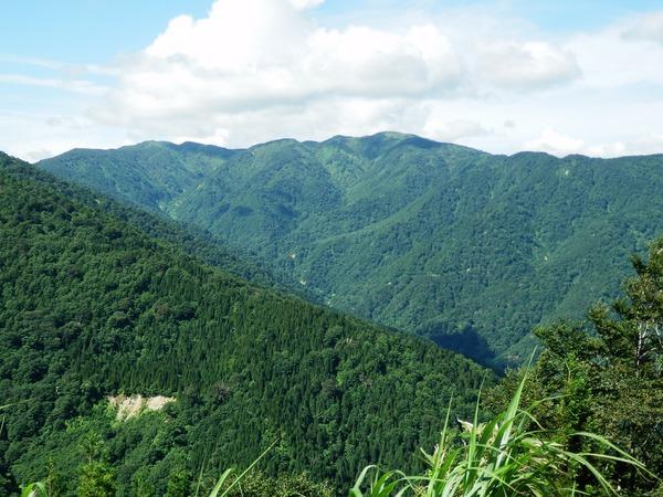 3つの山頂がゆるやかに連なります