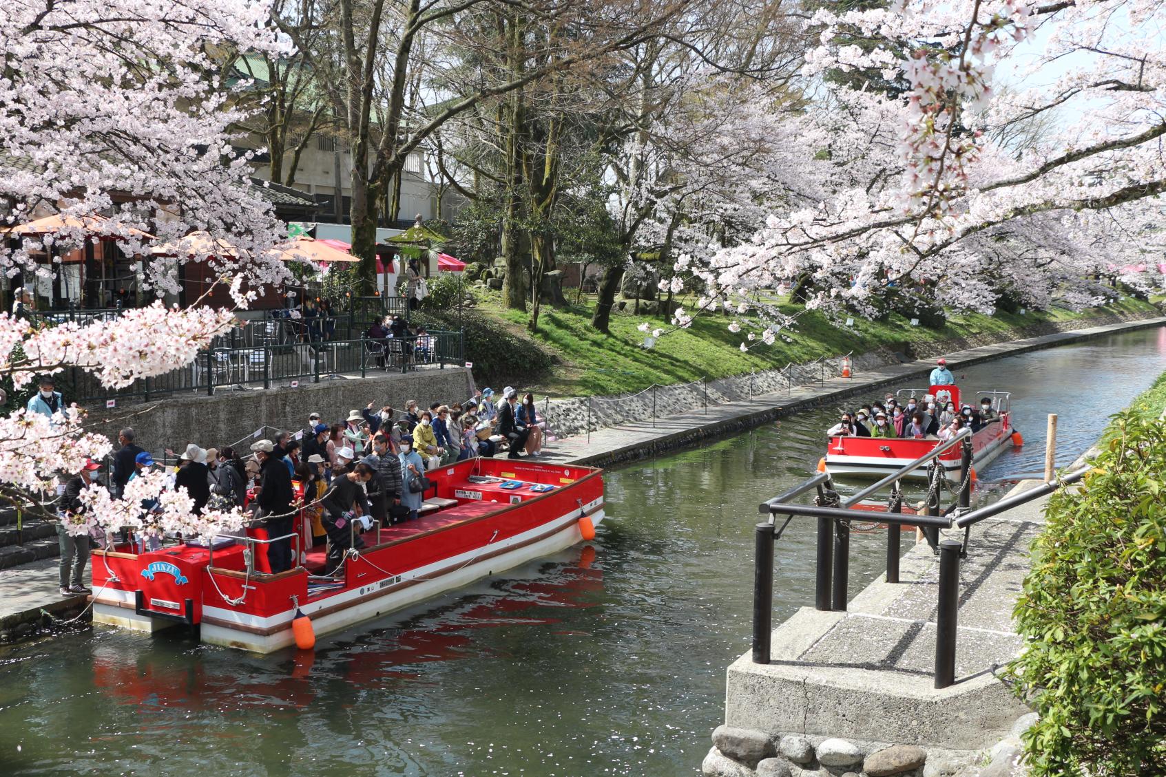 Matsukawa River Cruises-2