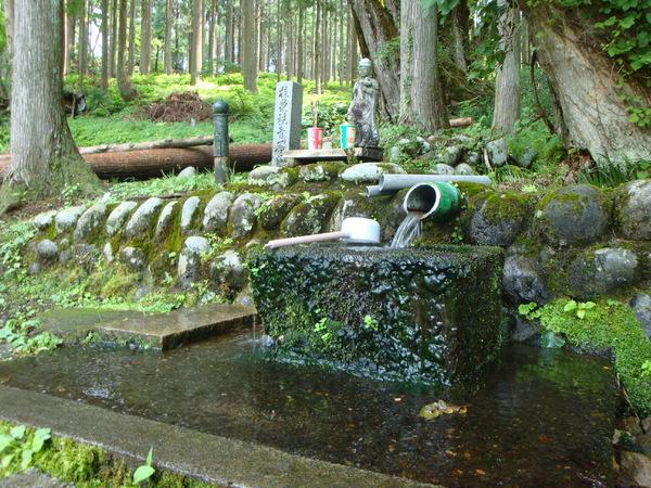 冷たく澄んだ水に元気を取り戻します