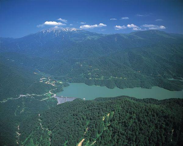 水と緑といのちの森を永遠に