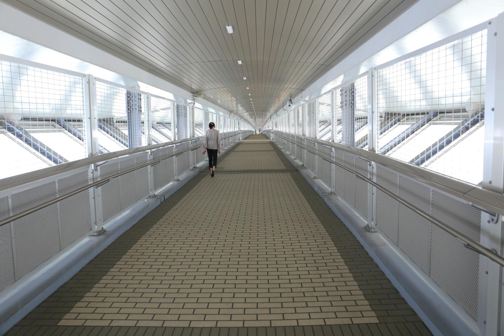 Shinminato Bridge-4