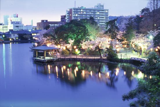 高岡古城公園（高岡城跡）-8
