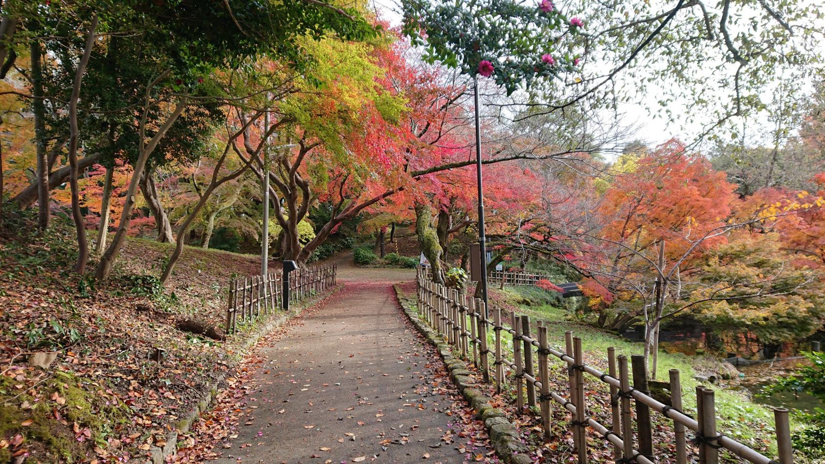 高岡古城公園（高岡城跡）-3