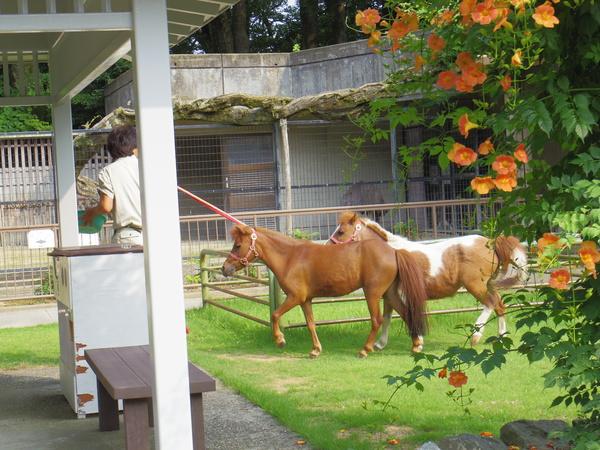 いろんな動物にふれあえます！