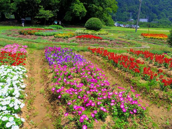 色鮮やかな花々が出迎えてくれます