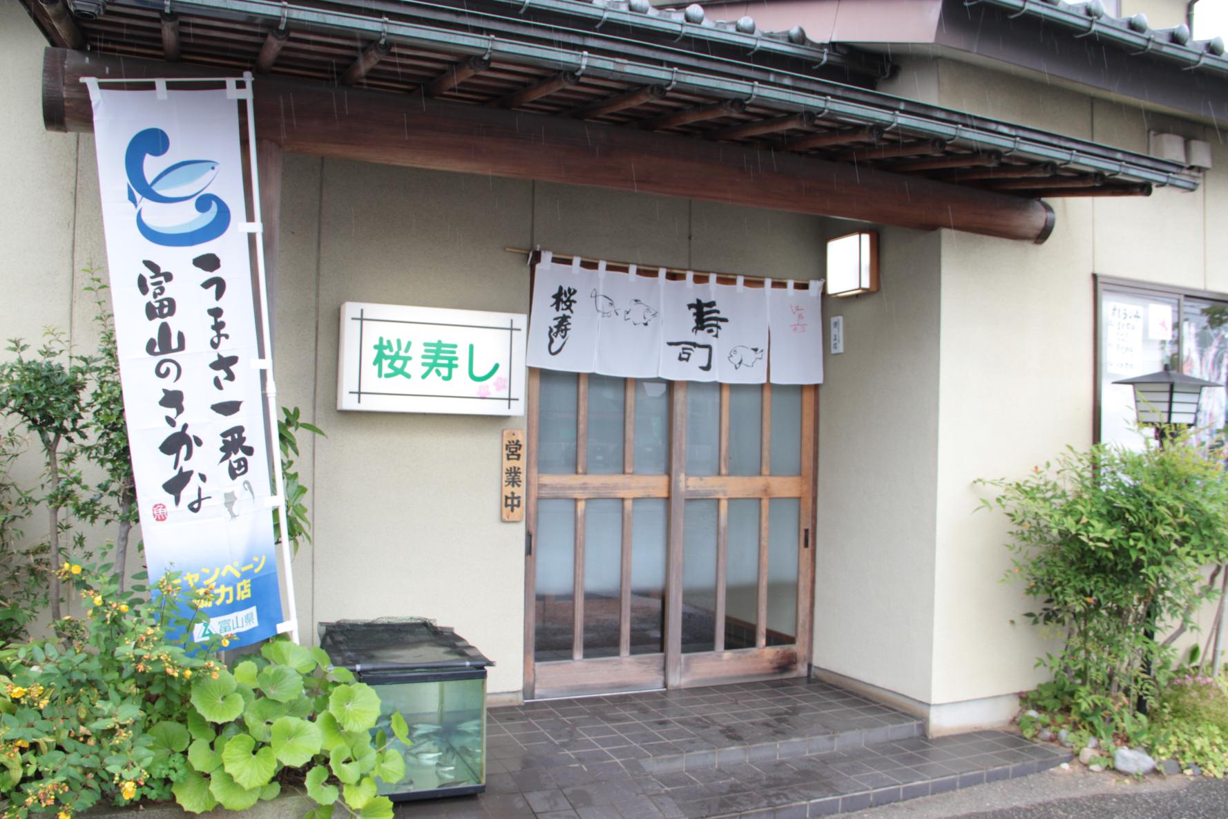 Sakura Sushi-2