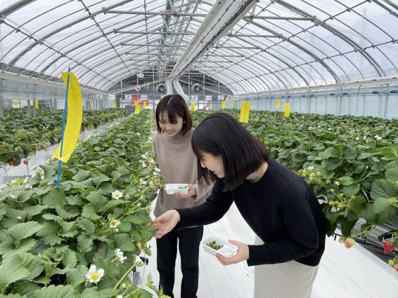 株式会社宇川農産-4
