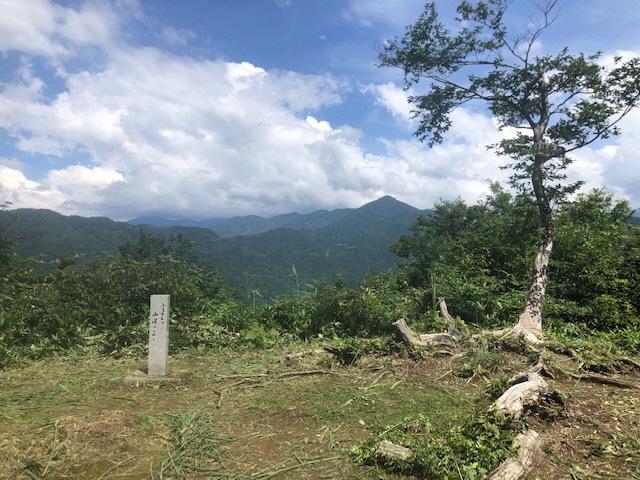 頂上からの景色